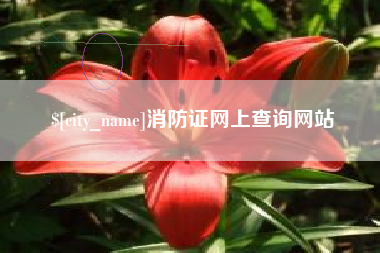 达州消防证网上查询网站