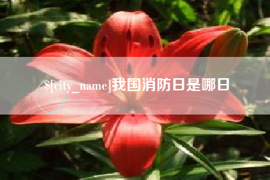 达州我国消防日是哪日