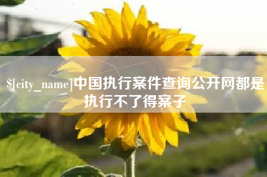 达州中国执行案件查询公开网都是执行不了得案子