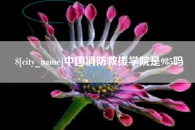 达州中国消防救援学院是985吗