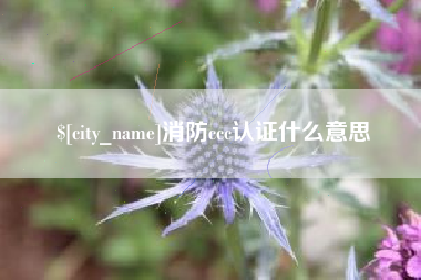 达州消防ccc认证什么意思