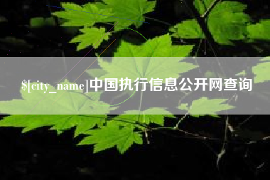 达州中国执行信息公开网查询