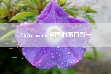 达州全国消防日哪一