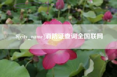 达州消防证查询全国联网