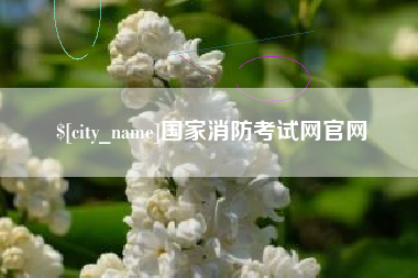 达州国家消防考试网官网