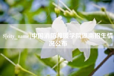 达州中国消防救援学院湖南招生情况公布