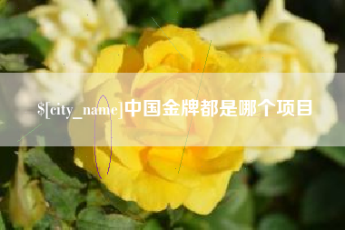 达州中国金牌都是哪个项目