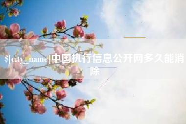 达州中国执行信息公开网多久能消除