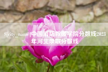 达州中国消防救援学院分数线2023年河北录取分数线