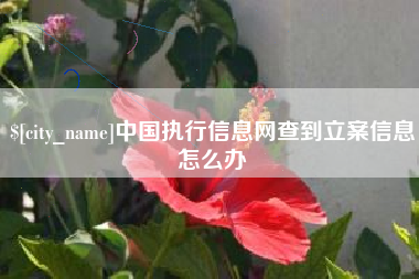 达州中国执行信息网查到立案信息怎么办