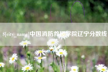达州中国消防救援学院辽宁分数线