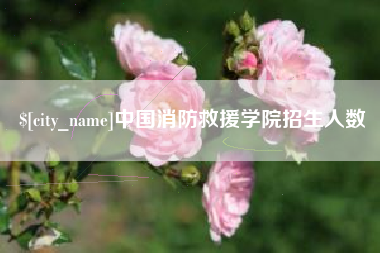 达州中国消防救援学院招生人数