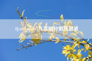 达州九宫图分割线图片