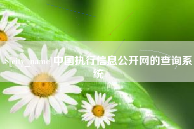 达州中国执行信息公开网的查询系统