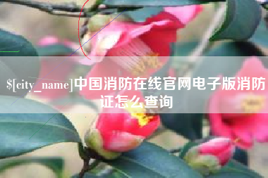达州中国消防在线官网电子版消防证怎么查询