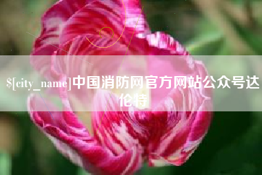 达州中国消防网官方网站公众号达伦特