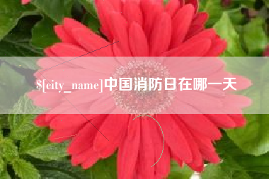 达州中国消防日在哪一天