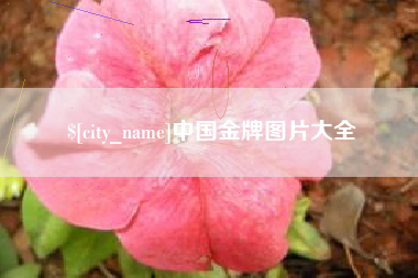 达州中国金牌图片大全