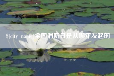 达州全国消防日是从哪年发起的