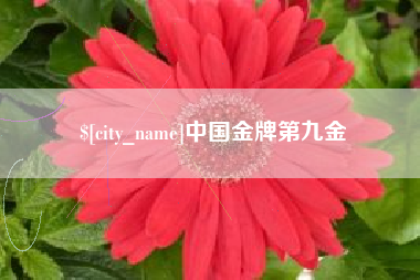 达州中国金牌第九金
