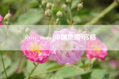 达州中国地图9宫格