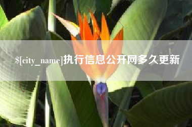 达州执行信息公开网多久更新