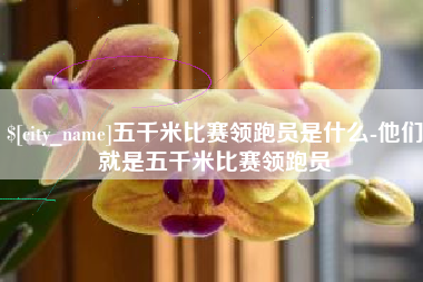 达州五千米比赛领跑员是什么-他们就是五千米比赛领跑员