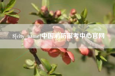 达州中国消防报考中心官网