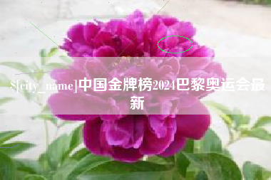 达州中国金牌榜2024巴黎奥运会最新