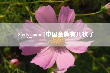 达州中国金牌有几枚了