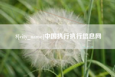 达州中国执行执行信息网