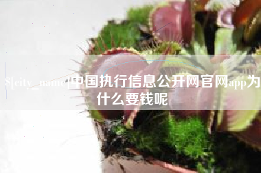 达州中国执行信息公开网官网app为什么要钱呢