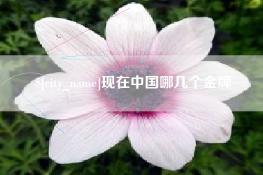 达州现在中国哪几个金牌