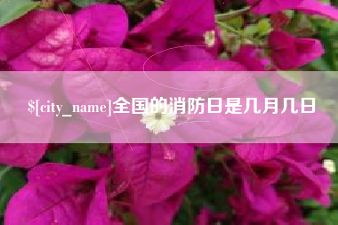 达州全国的消防日是几月几日