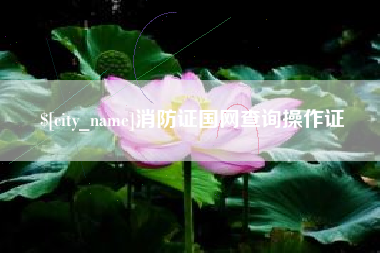 达州消防证国网查询操作证