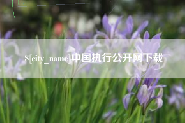 达州中国执行公开网下载