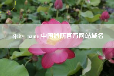 达州中国消防官方网站域名