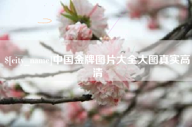 达州中国金牌图片大全大图真实高清