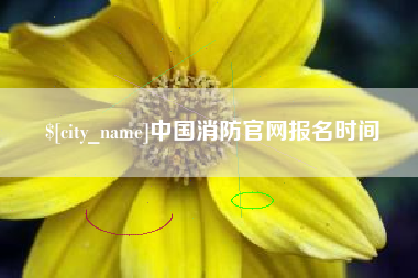 达州中国消防官网报名时间