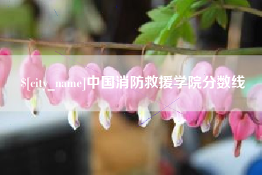 达州中国消防救援学院分数线