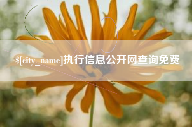 达州执行信息公开网查询免费